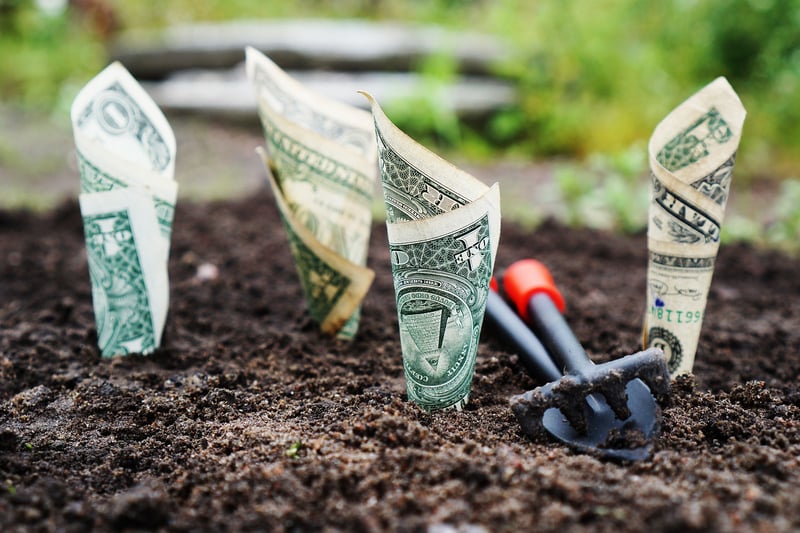 Investment Savings Accounts